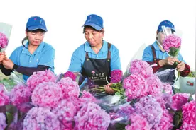 昆明市4个花卉产业党建联合体发挥作用——党建联建激发花卉产业链活力图片