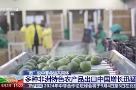 鲜花、咖啡、光伏水泵 一组数据看“小而美”的中非农业合作图片