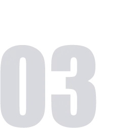 看！是合肥的树！