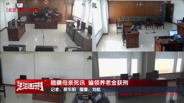男子隐瞒母亲死讯两年多，伪造证明骗领养老金超16万用于个人消费，涉嫌诈骗罪被判3年