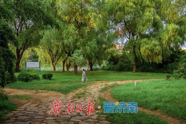 一年四季 泉在济南丨邂逅生态秘境！济南腊山湖公园藏着这样的绿意天地