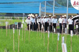 “百千万工程”，为清远连山带来怎样的新面貌？图片