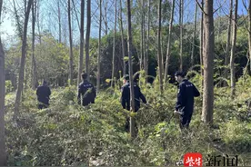 安徽老人误入南京深山迷路三天，多亏了南京警方协同警务机制——图片