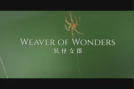 《这里是海南·秘境寻踪》第四季 | 第三集：妖怪女郎图片