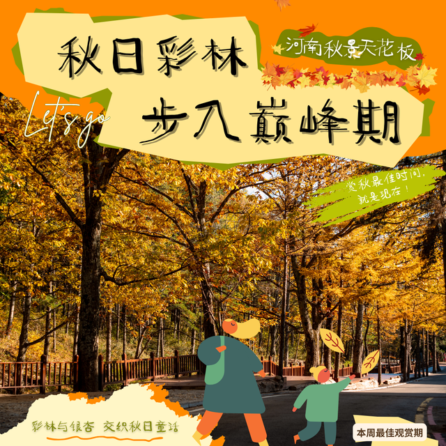 别再问了！洛阳秋色天花板，就藏在这里→