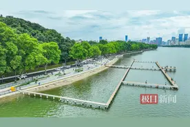 武汉东湖以“绿”为底，绘就生态文明新画卷图片