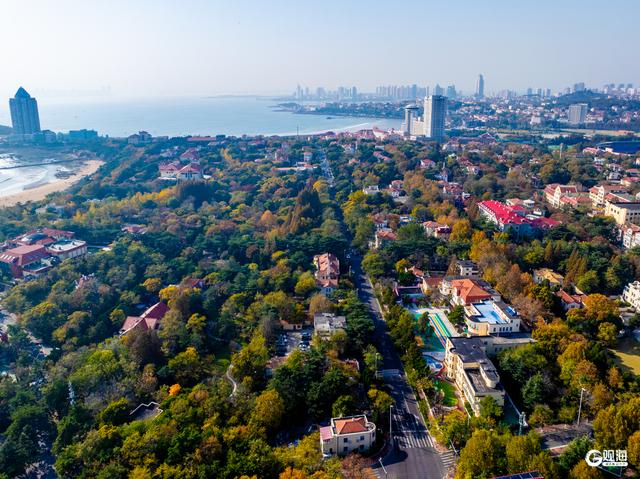 海韵+汇筑+绮景！青岛初冬的浪漫被具象化了