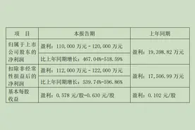 鲁西化工上半年净利预增最高超五倍，因爆炸事故搁置的重组计划能否重启？图片