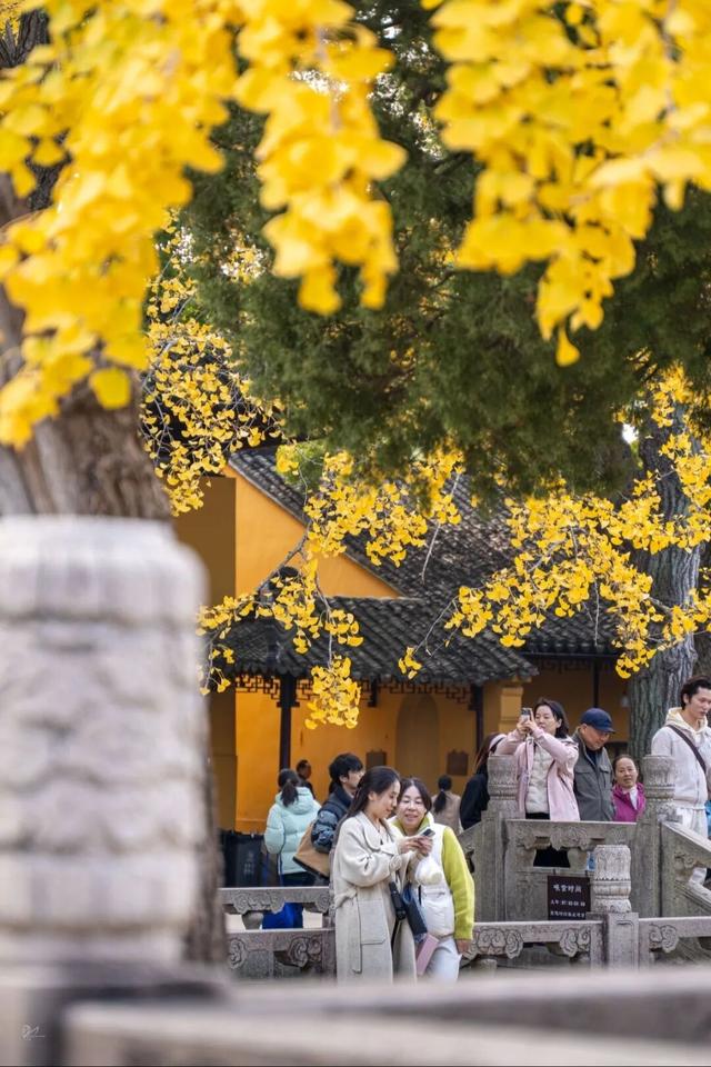 姑苏早点来丨一碗素面，一院金黄