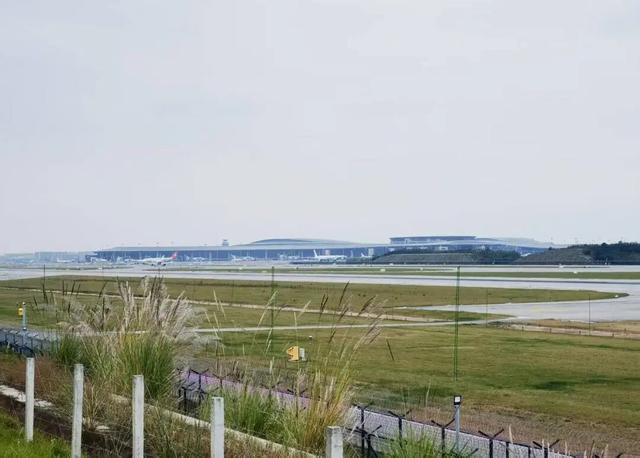 坐标简阳，361岁古桥，202岁石狮，与2分钟起落的飞机