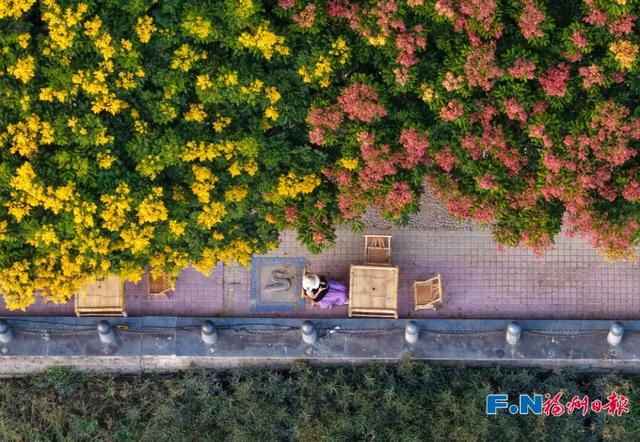 美得像春天！被福州的“蓝绿”治愈了！