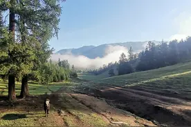 阿尔泰的风：纵马穿行喀纳斯河谷图片