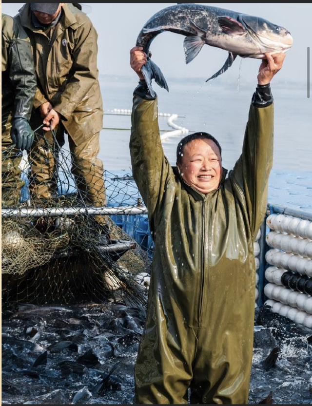 “马”上来南京！南京600余场文旅活动邀你过大年