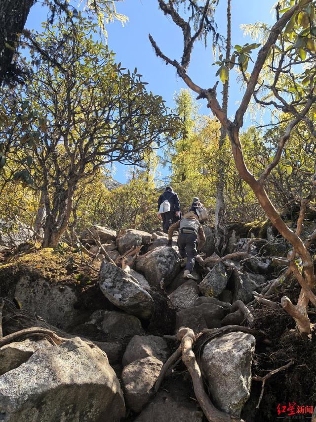 川西登山徒步乱象调查：山高路险！有团队未带食物，报警多是迷路