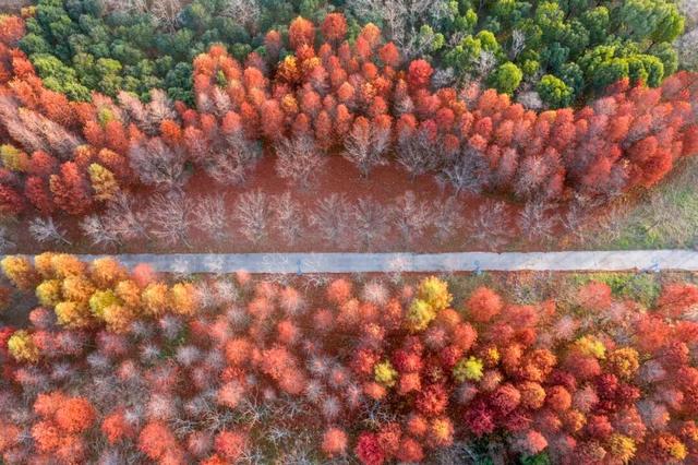 太仙了！美到巅峰！这个周末，又要人人人啦~