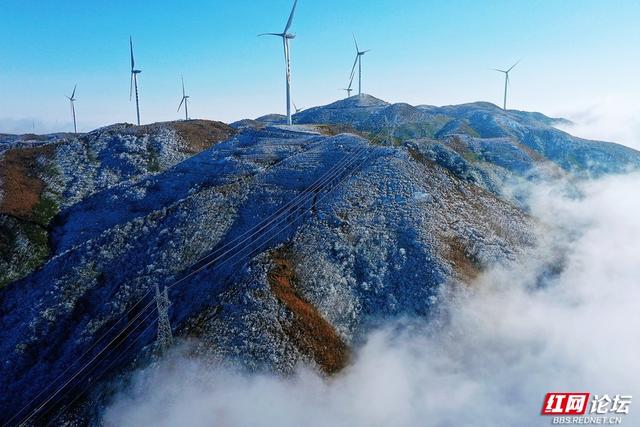 【每日一图@湖南】雾凇挂枝，流云绕风车！桂东万洋山冬景如画