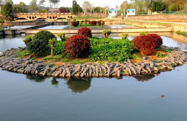 一票畅玩！一张联票，联动一城诗意！