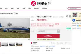 江苏一架退役空客320飞机被上架拍卖，仅限自提图片