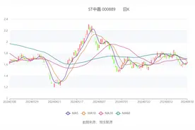 ST中嘉：2024年上半年亏损1449.45万元图片