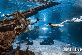 美人鱼之舞来袭，中国美人鱼（泳池）超级联赛10月湖南启幕图片