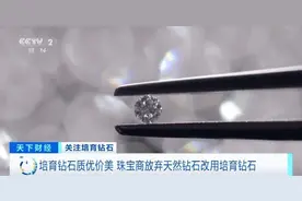 培育钻石掀起热潮！2026年，市场增量超700亿元？全靠它图片