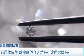 培育钻石掀起热潮！2026年，市场增量超700亿元？全靠它图片