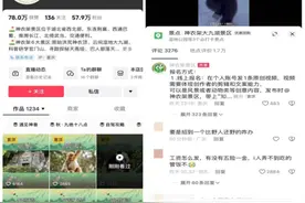 要求“遇见野人跑得快”！”湖北神农架景区招聘要求引热议图片