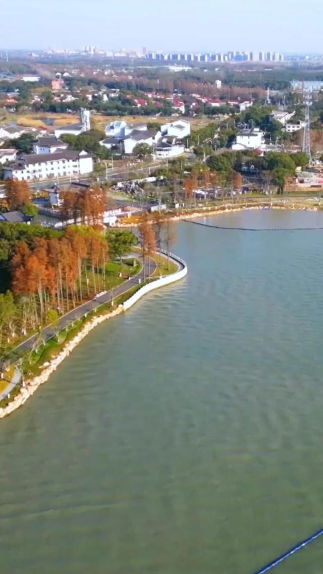 青浦出发！美到窒息，这条长三角秋游线太绝啦～