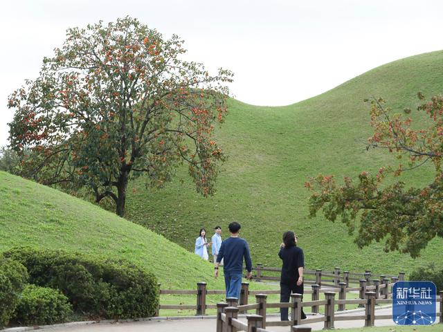 镜观世界丨韩国庆州：一座“露天的历史博物馆”