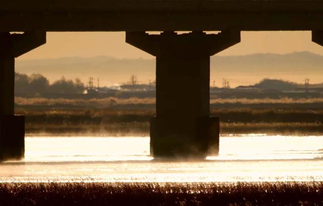 巴彦淖尔冬日限定！黄河“开锅”了