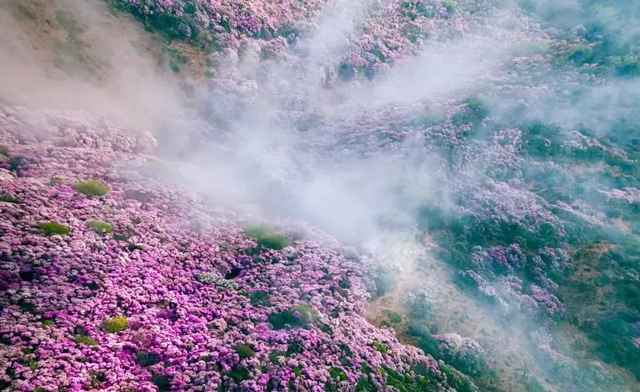 【跟着火把节游凉山】在凉山，遇见人生“彩虹”