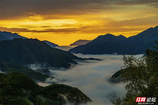 华中屋脊，秋色无边！这里是神农架