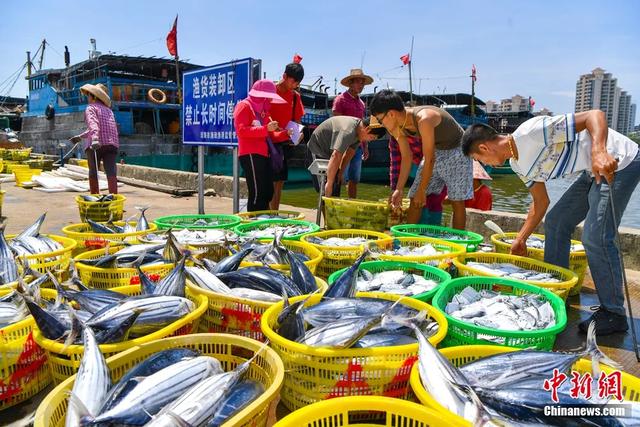 人这一辈子，一定要去一趟海南看海玩海