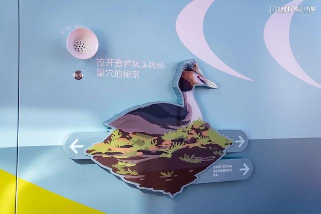 阳山自然驿站矩阵落成，全域科学体验线路启用