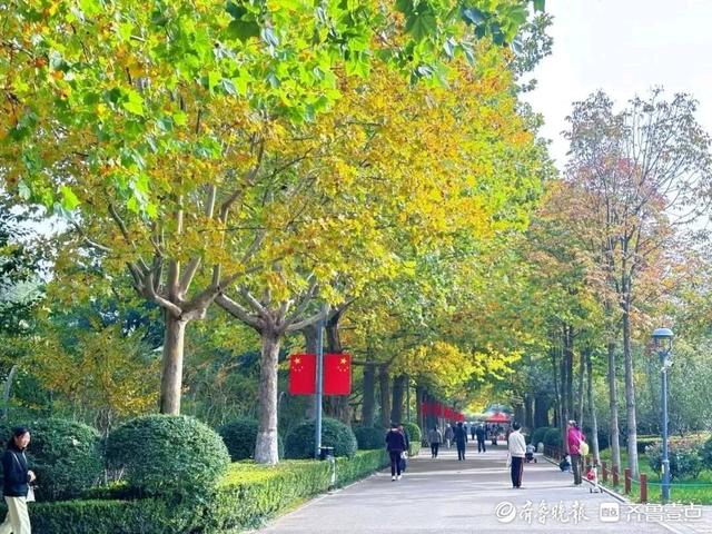邂逅浪漫秋光，济南市多家公园景区秋色已备好