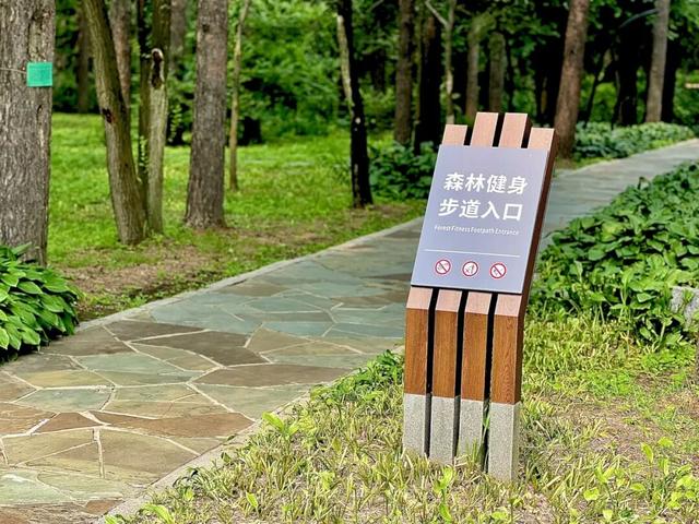 给身心来一场“森林浴”