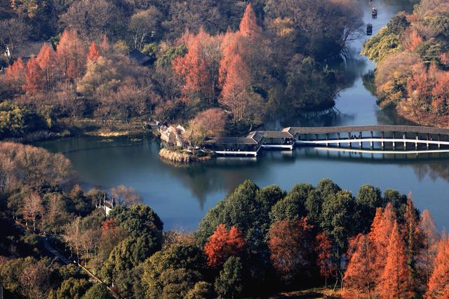 晚潮｜一叶知秋