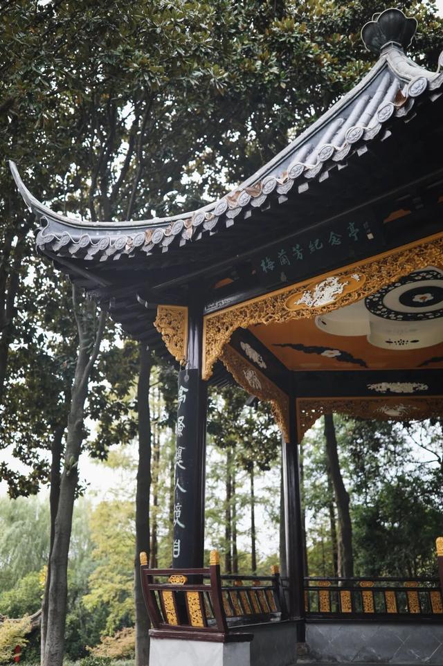 百万粉丝达人点赞：泰州泰美 泰想你来