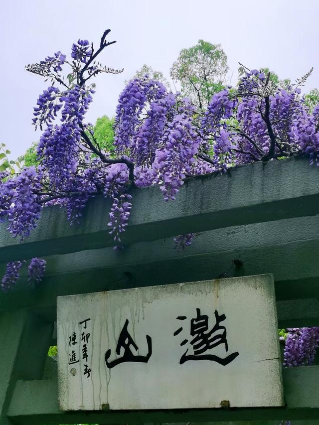 晚潮｜邀山揖湖：四季繁花与千年山水