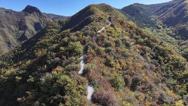 永靖关山：金秋十月层林尽染 斑斓秋色引客来