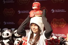 通讯｜和熊猫一起过大年——美国圣迭戈动物园庆新春图片