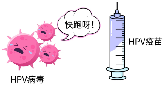 HPV疫苗全知道：二价、四价和九价有何不同？这篇科普告诉你答案！