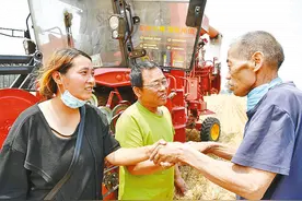 麦香中的暖心收割图片