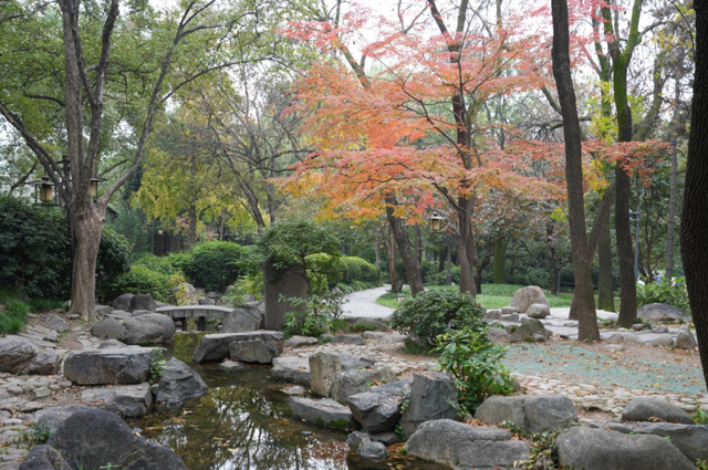 秋风引路入曲江，芙蓉金叶映红墙