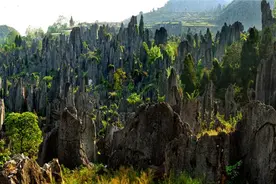 贵州举办山地旅游大会，拉来了茅台助阵图片
