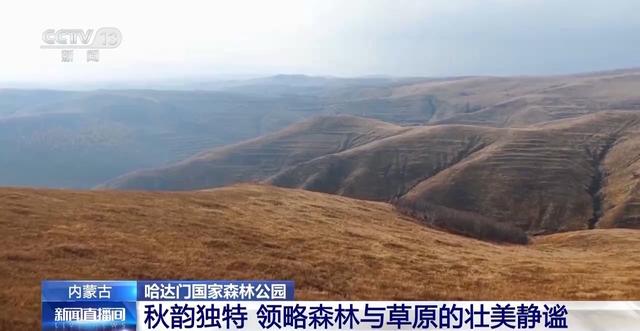 北方多地最美秋色已“上线” 一起感受浓浓秋韵