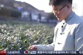 新闻周刊丨春至江南 看00后“炒”出中国茶叶新活力图片