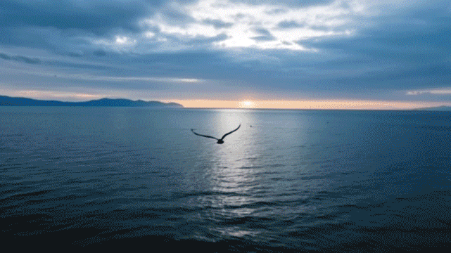 中国“旅居”天花板，为什么还得是云南？