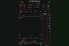 与中兴通讯合作成立新品牌？豆包回应图片