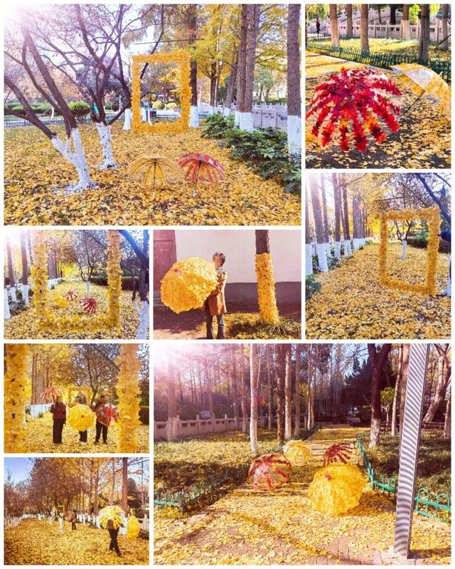 落叶变“宝藏”！临沂这些地点免费打卡